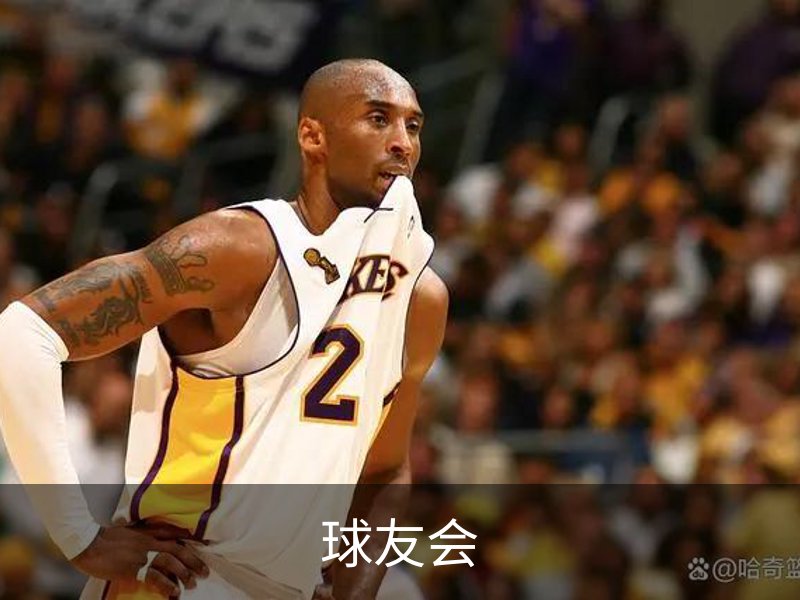 球友会概况